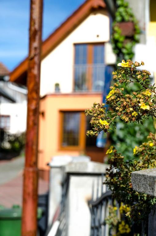 Dolná Tižina 阿达玛放松旅馆酒店 外观 照片