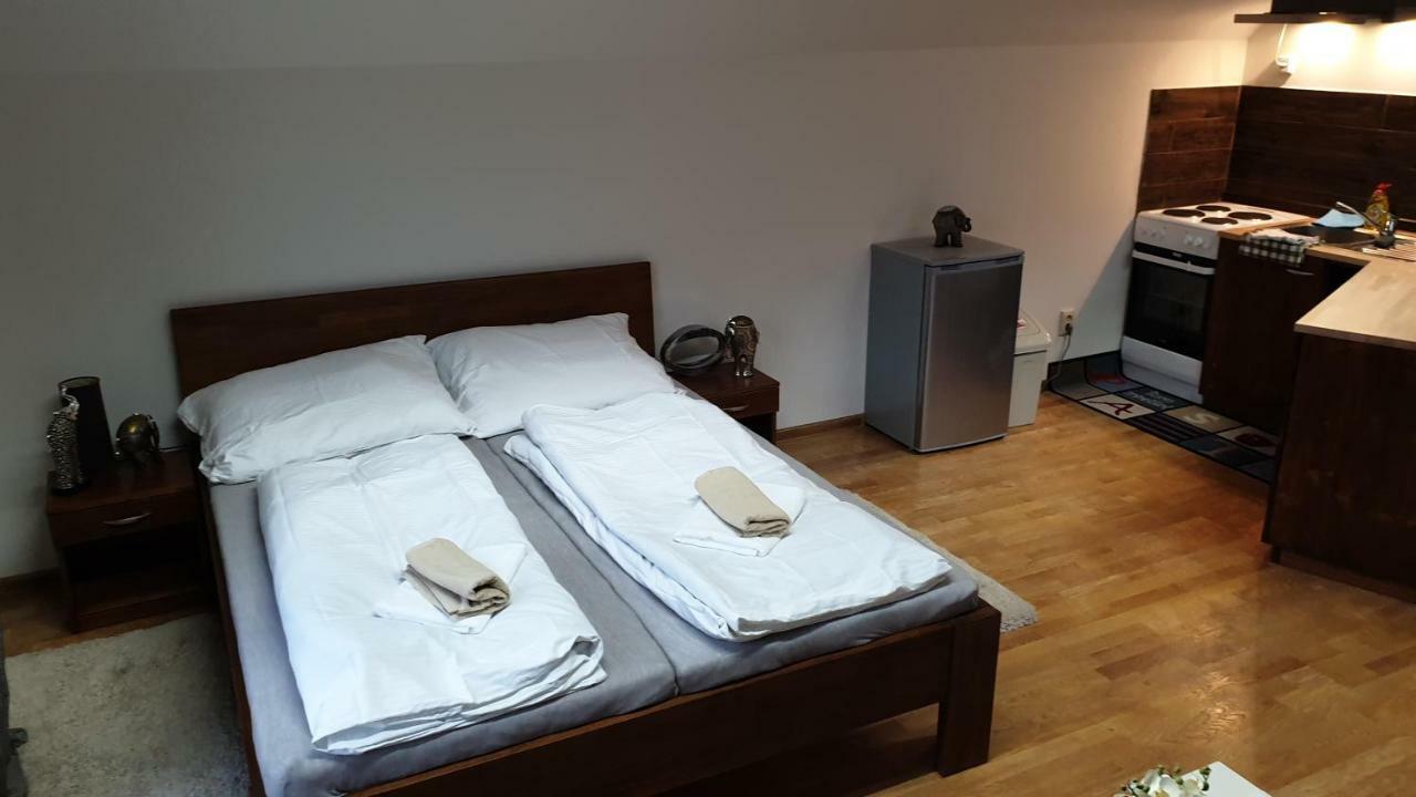 Dolná Tižina 阿达玛放松旅馆酒店 外观 照片